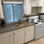 Mango Leaf